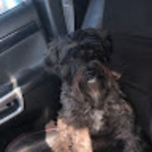 Meet your Posher, Marlee